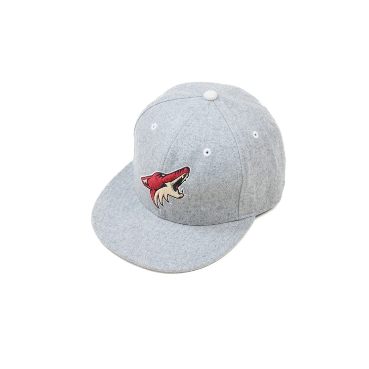 Oversized Mitchell & Ness Limited Edition