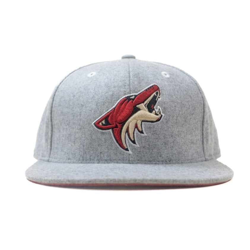Oversized Mitchell & Ness Limited Edition
