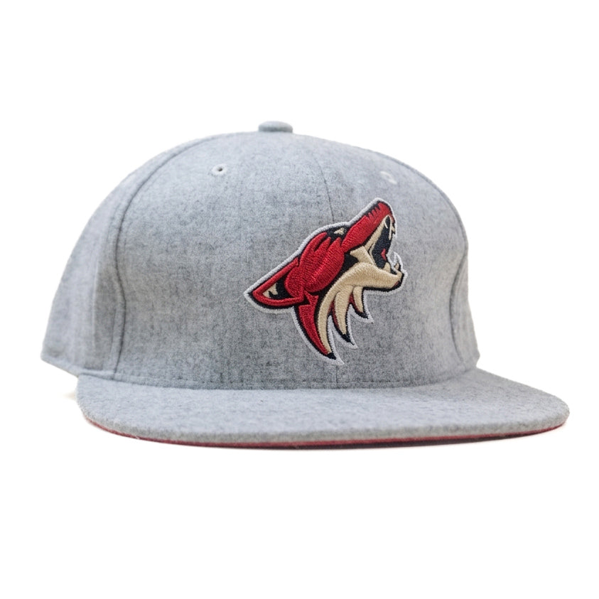 Oversized Mitchell & Ness Limited Edition