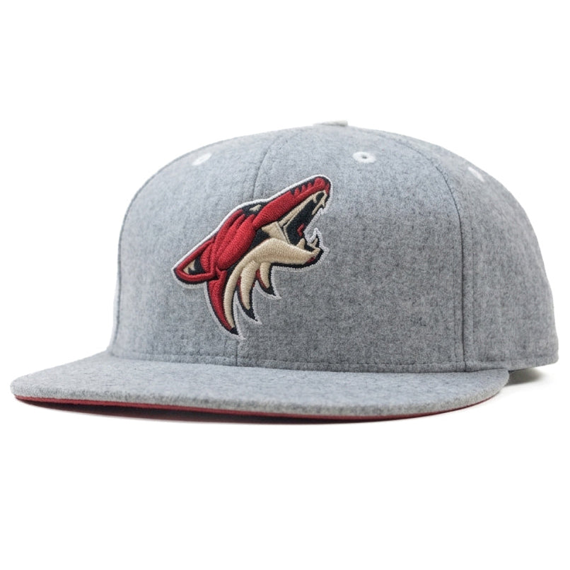 Oversized Mitchell & Ness Limited Edition