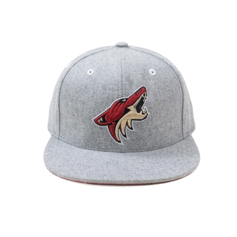 Oversized Mitchell & Ness Limited Edition