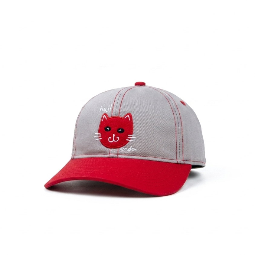 Heji Endo Grey Cat Kids Funday Cap