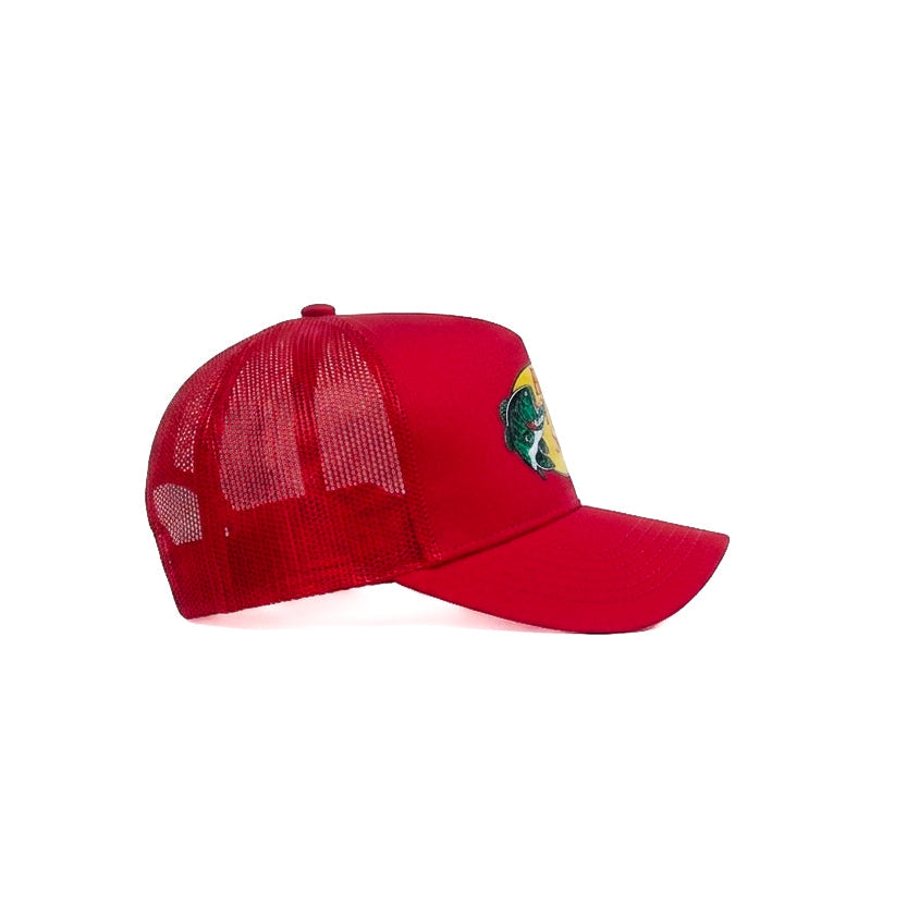 Kids Bass Pro Shop Funday Cap