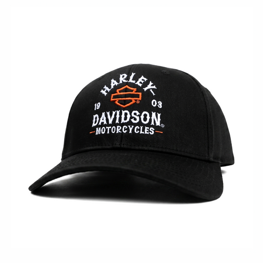 HARLEY DAVIDSON MOTORCYCLES