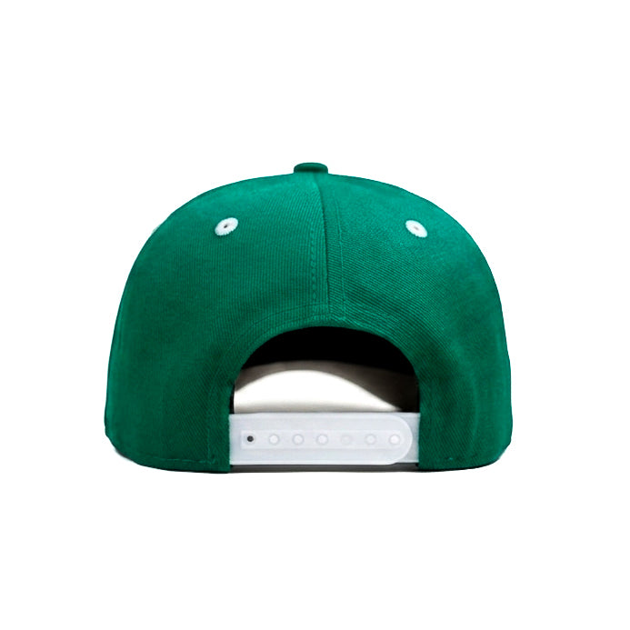 Boston Celtics Limited Edition Snapback (Copy)