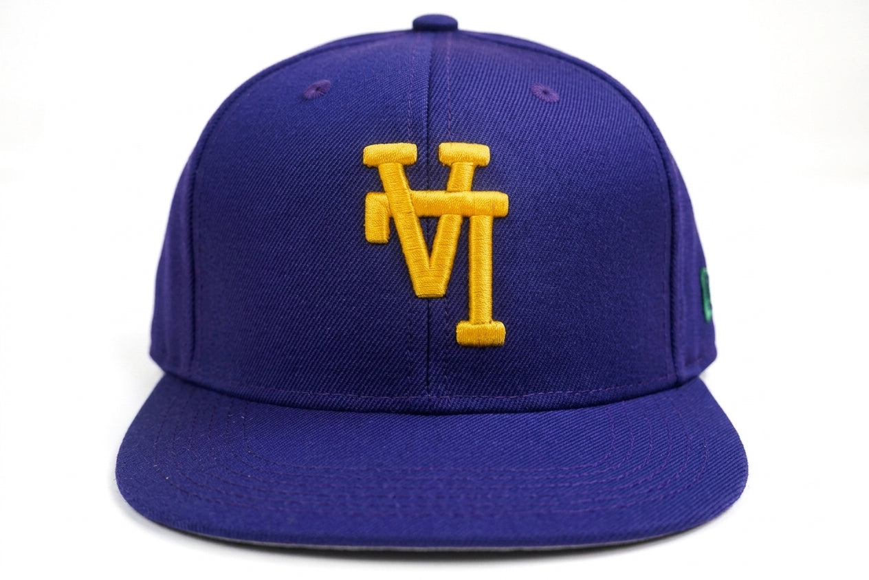 LA City Embroided Uniform Studios Snapback Cap