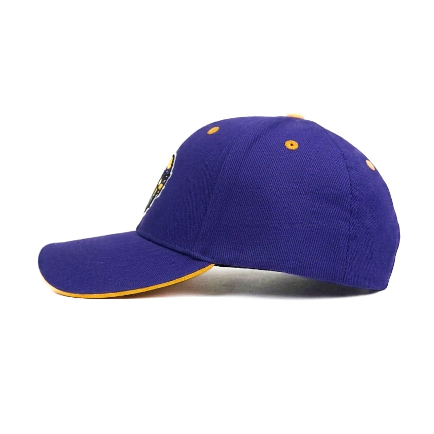Vikings Purple Snapback Cap