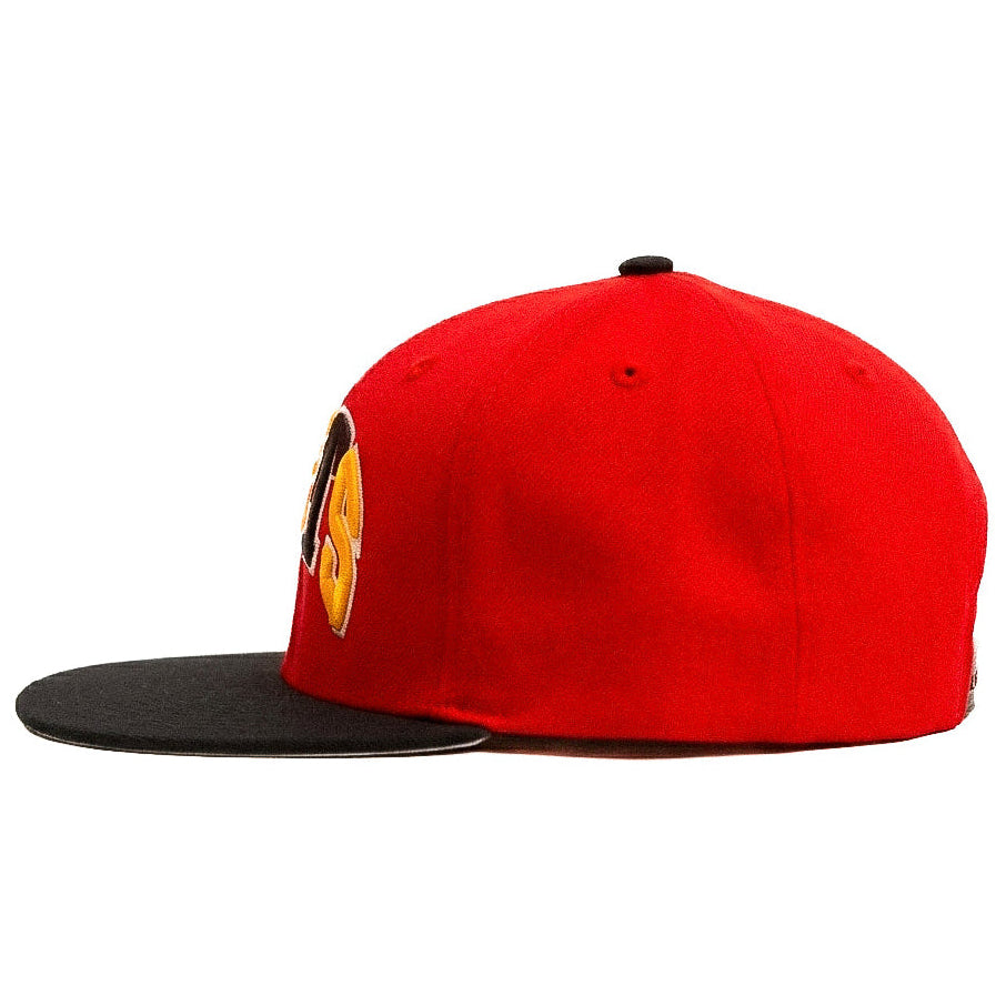 Oversized Huston Rockets Mitchell & Ness Limited Edition