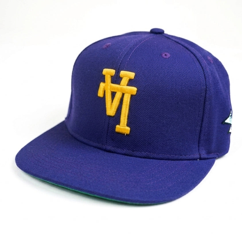 LA City Embroided Uniform Studios Snapback Cap