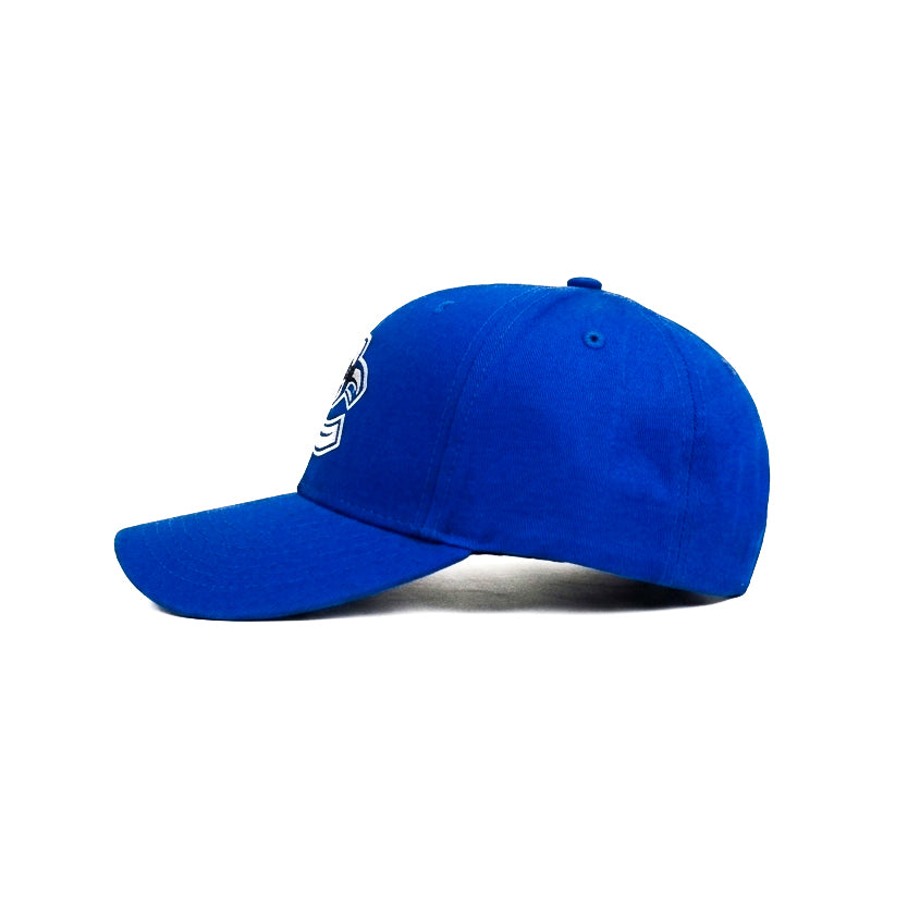 C Eel Snapback Cap