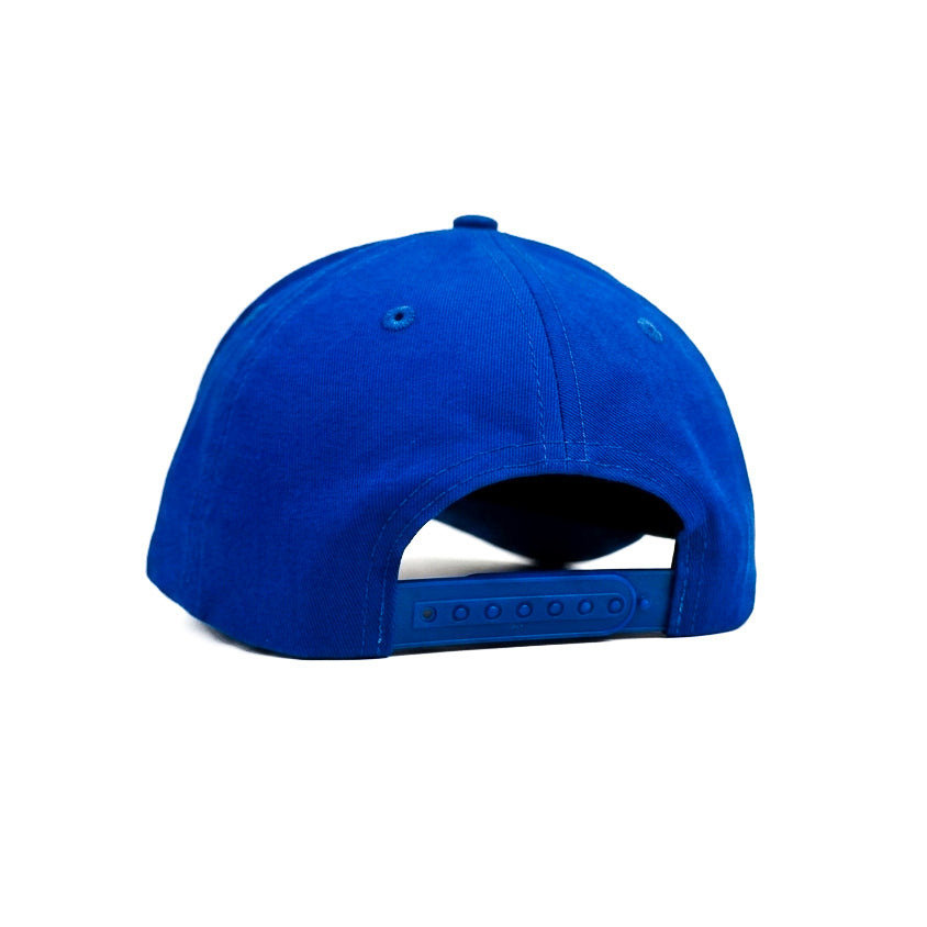 C Eel Snapback Cap