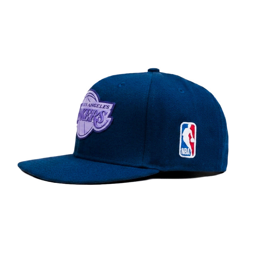 Los Angeles Lakers Purple Limited Edition Snapback