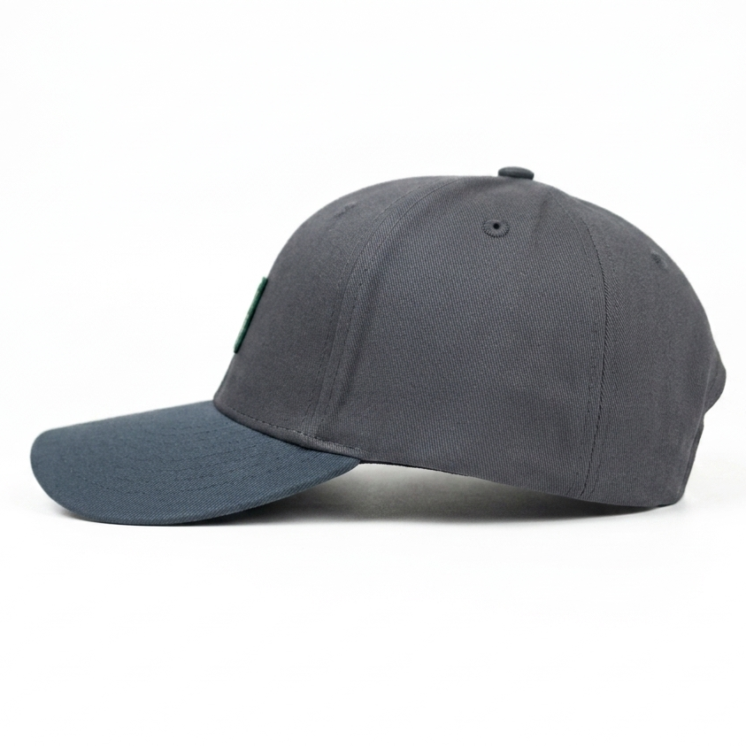 Drake Snapback Limited Edition