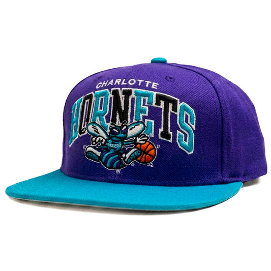 Oversized Charlotte Hornets Limited Edition