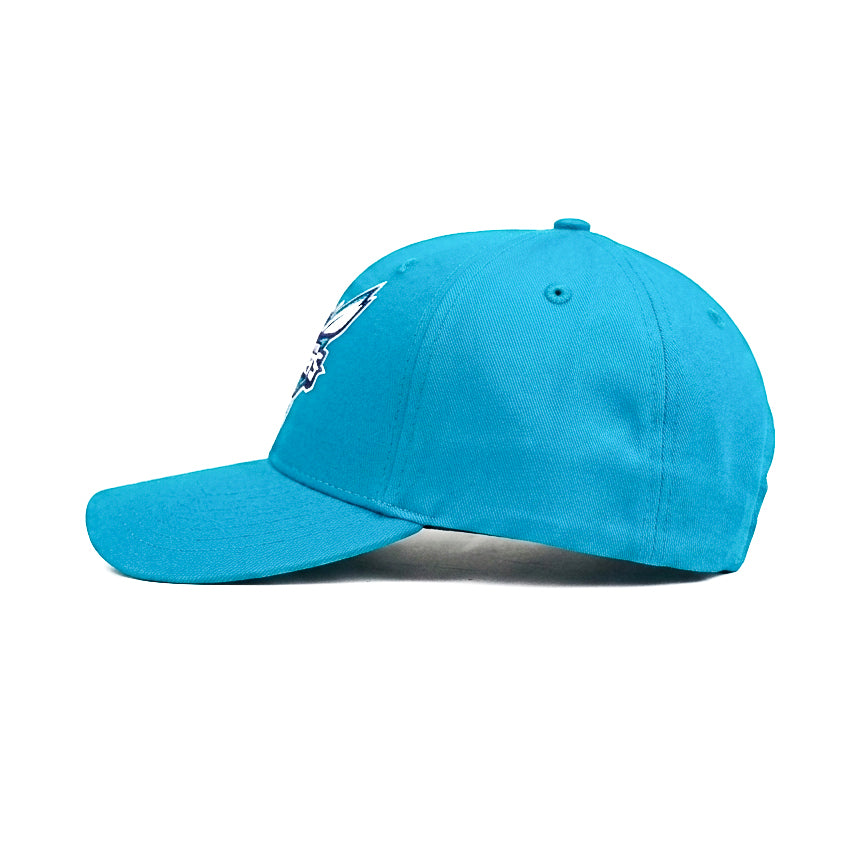 Charlotte Hornets FItted Snapback Cap