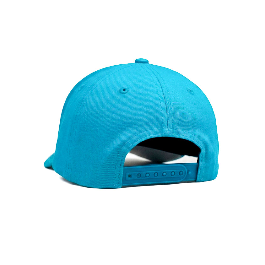 Charlotte Hornets FItted Snapback Cap