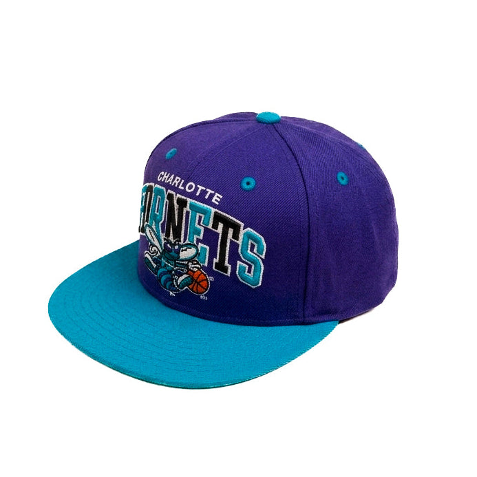 Oversized Charlotte Hornets Limited Edition