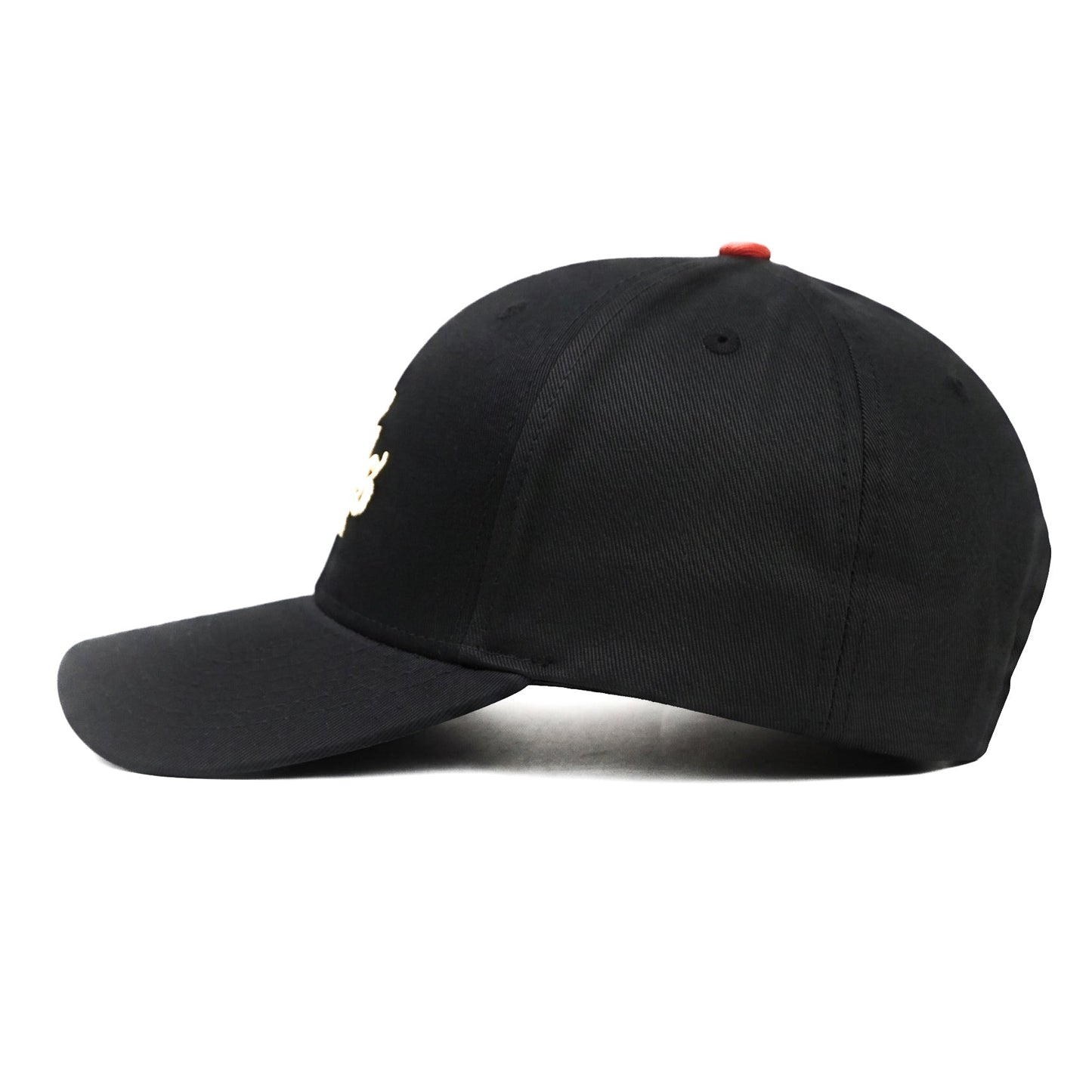 Carhartt Snapback Cap