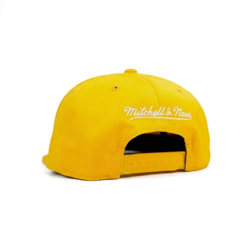 Mitchell & Ness Limited Edition Ghostpatch NBA Snapback Cap