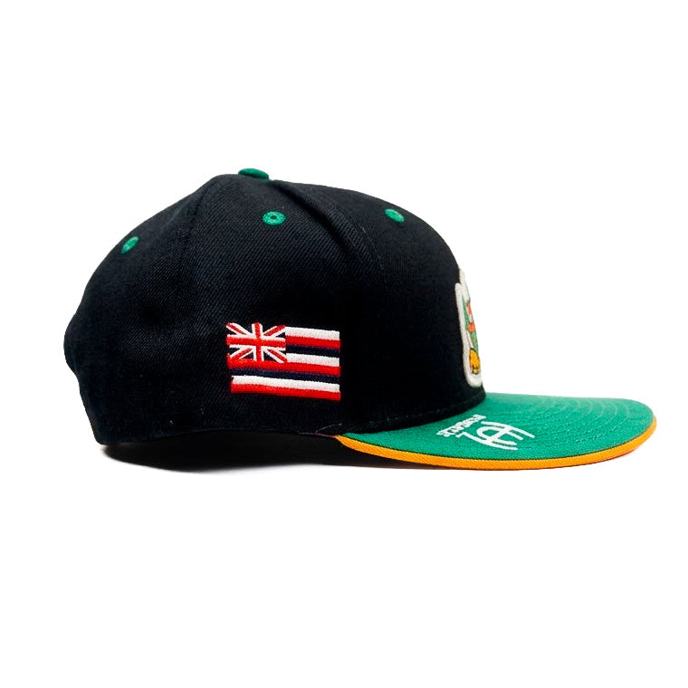 Aloha Army Super Mario Snapback Cap